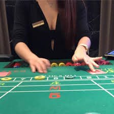kenzototo88 app showing live casino table and betting interface
